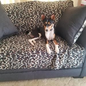 Meet your Posher, Cathy